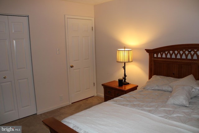 bedroom featuring carpet and a closet