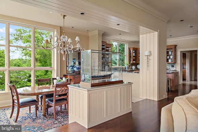 interior space featuring a healthy amount of sunlight, dark hardwood / wood-style floors, and tasteful backsplash