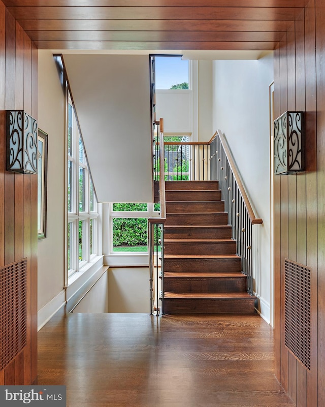 stairs featuring hardwood / wood-style flooring, wooden walls, and a wealth of natural light