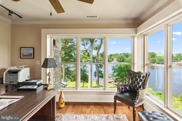 office area featuring a healthy amount of sunlight and ceiling fan