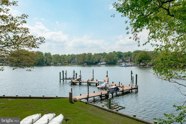 dock area featuring a water view