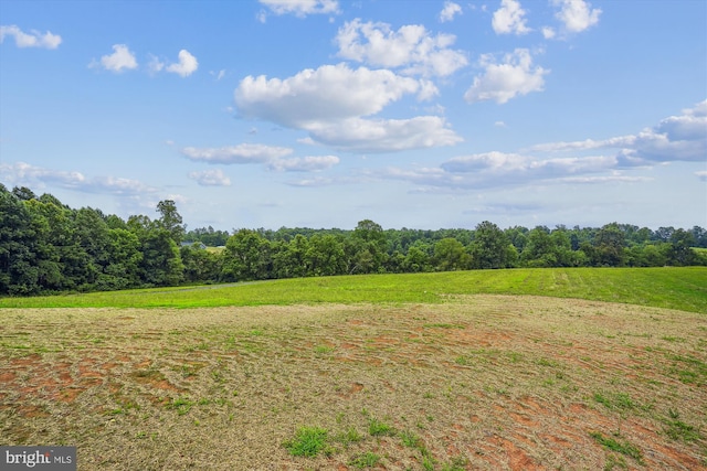 LOTD Beaver Dam Road, Jeffersonton, VA 22724 - view of local wilderness with a rural view and a wooded view
