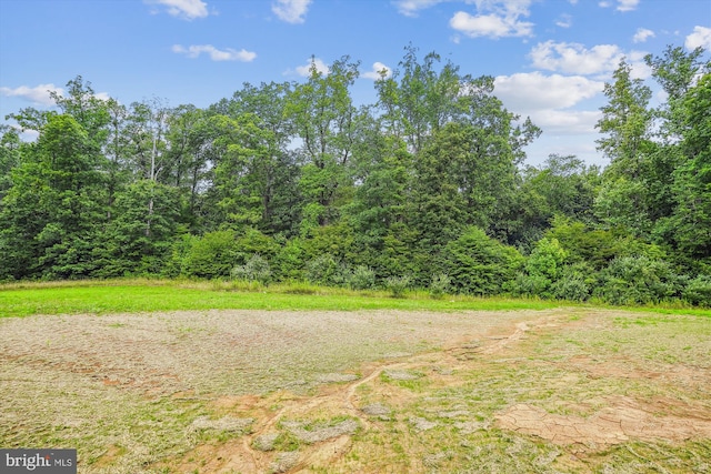 LOTD Beaver Dam Road, Jeffersonton, VA 22724 - view of yard