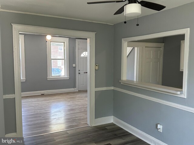 entryway featuring ceiling fan and dark hardwood / wood-style floors