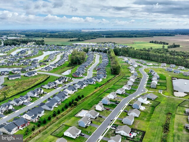 drone / aerial view