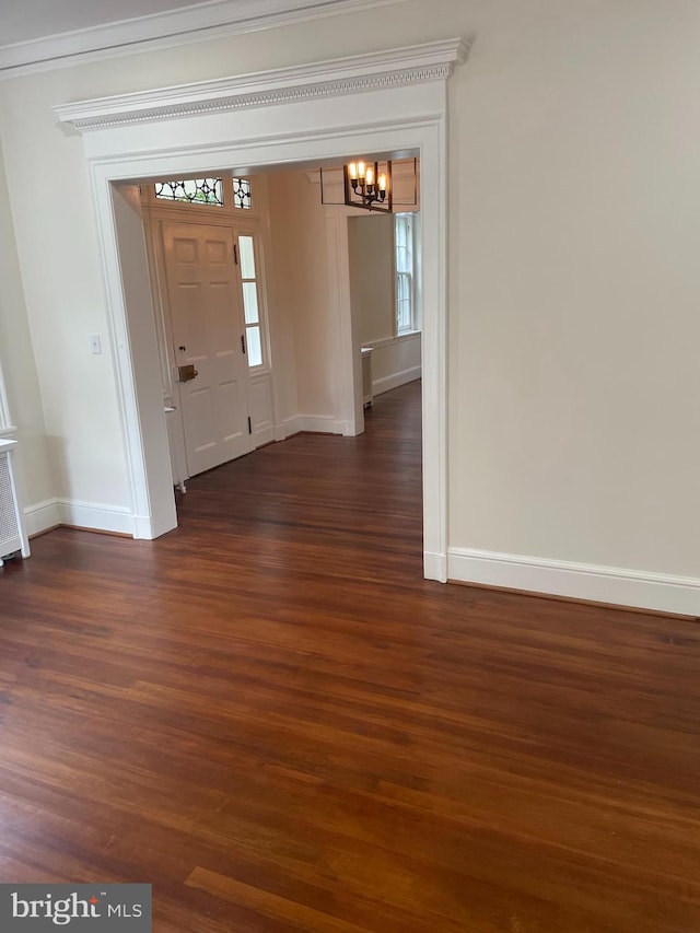 entrance foyer with crown molding, dark hardwood / wood-style floors, and a wealth of natural light