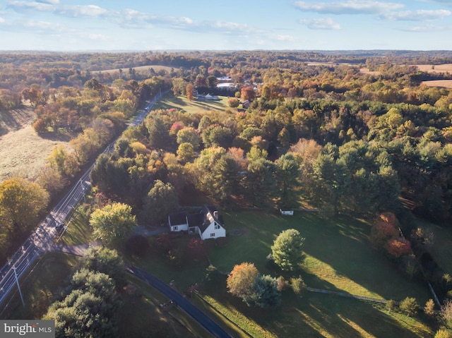 aerial view