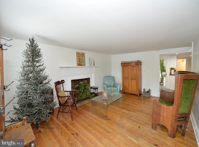 sitting room featuring light hardwood / wood-style floors and a fireplace