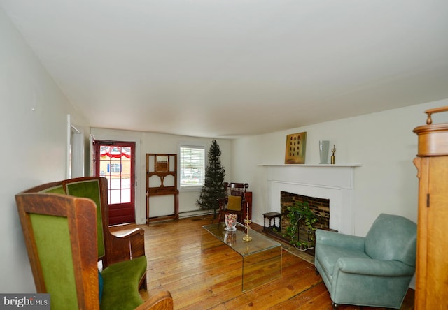 living room with hardwood / wood-style flooring