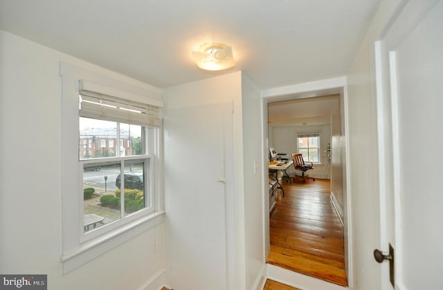 corridor featuring hardwood / wood-style floors and plenty of natural light