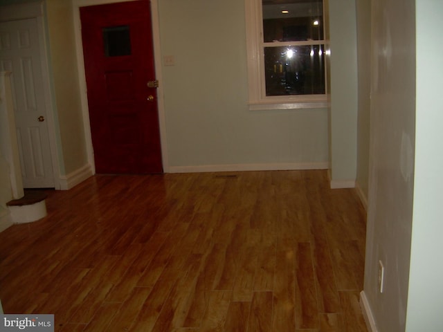 entryway featuring wood-type flooring