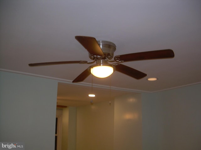 details featuring crown molding and ceiling fan