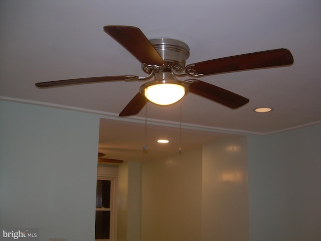 details featuring crown molding and ceiling fan