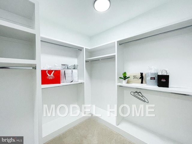 walk in closet featuring carpet flooring