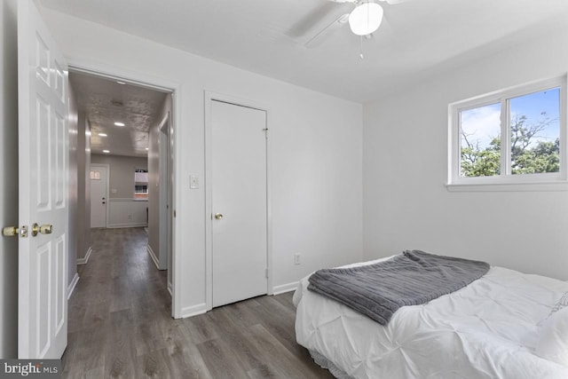 bedroom featuring ceiling fan and wood-type flooring