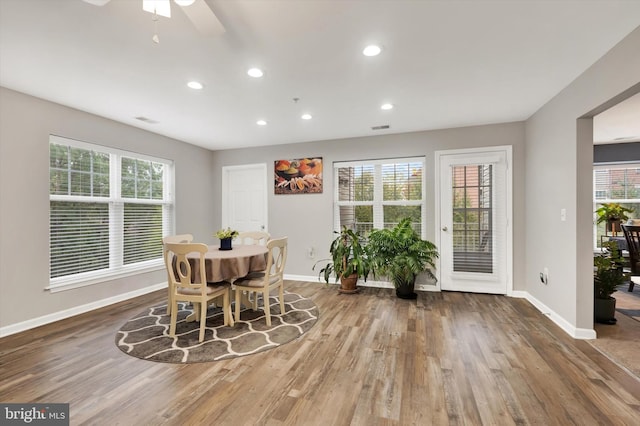 dining space featuring ceiling fan, hardwood / wood-style flooring, and a healthy amount of sunlight