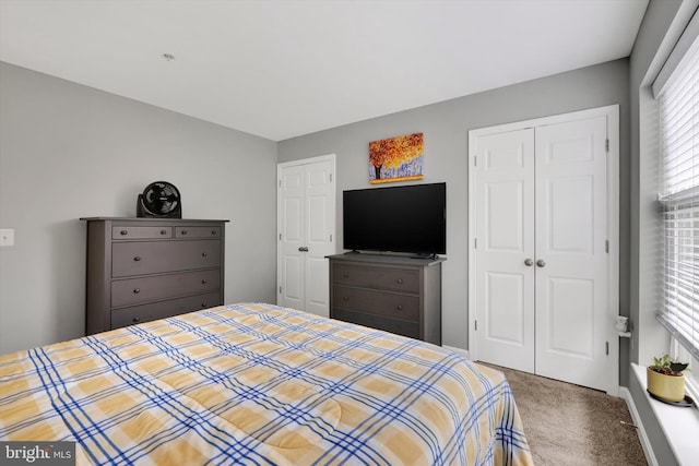 bedroom with a closet and carpet flooring