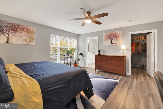 bedroom featuring ceiling fan, light hardwood / wood-style flooring, a closet, a spacious closet, and ensuite bathroom