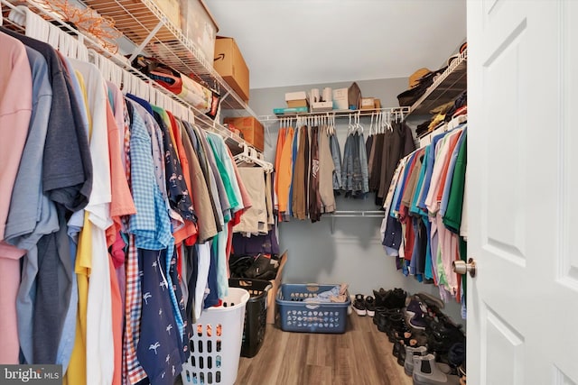 spacious closet with hardwood / wood-style flooring