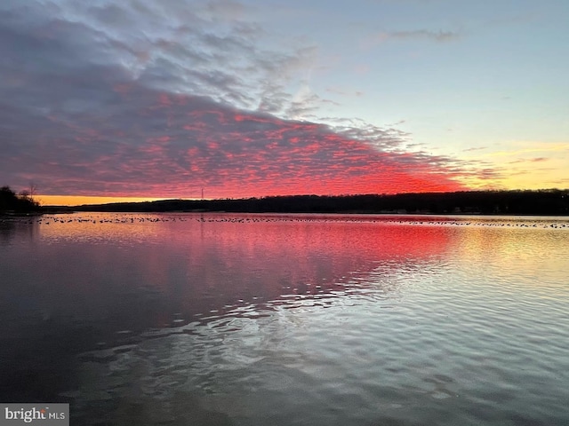 water view