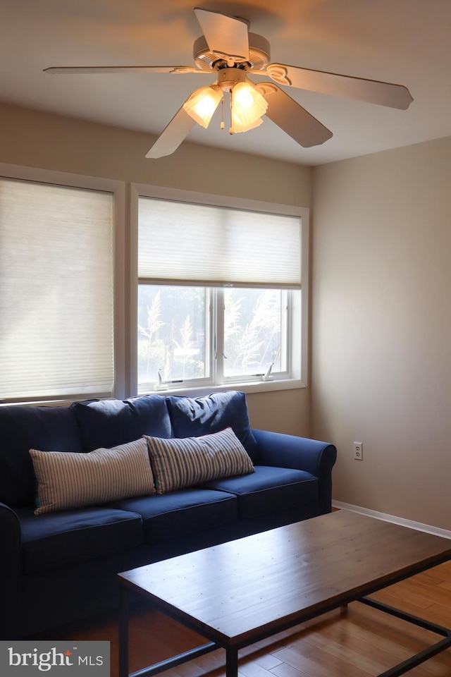 living room with ceiling fan and hardwood / wood-style flooring