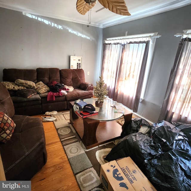 living room featuring wood-type flooring, crown molding, and ceiling fan