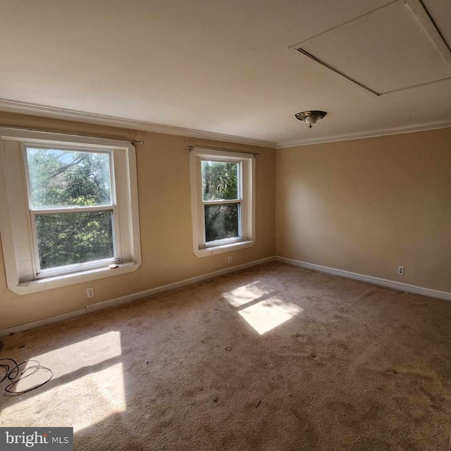 unfurnished room with carpet flooring and ornamental molding