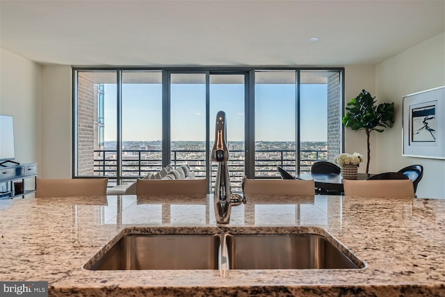 kitchen featuring light stone counters, plenty of natural light, and sink