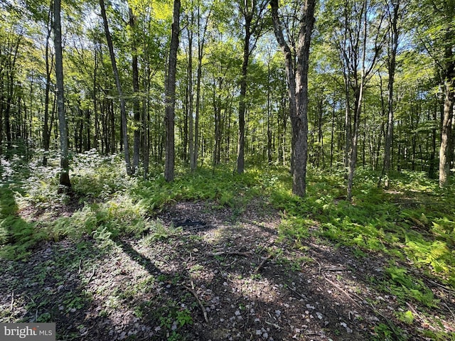 view of landscape featuring a view of trees
