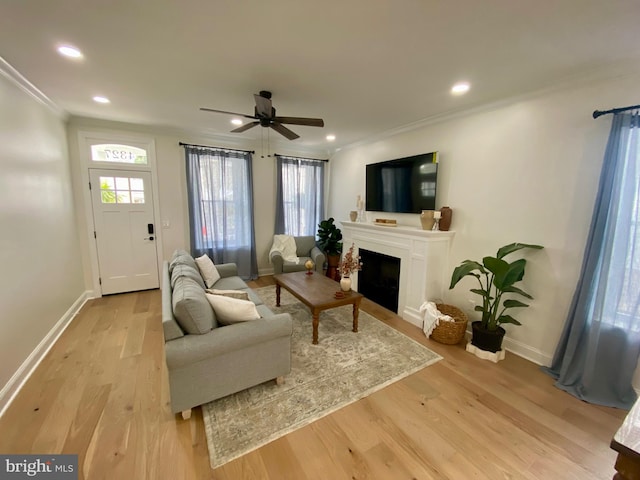 living room featuring crown molding, light hardwood / wood-style floors, and ceiling fan