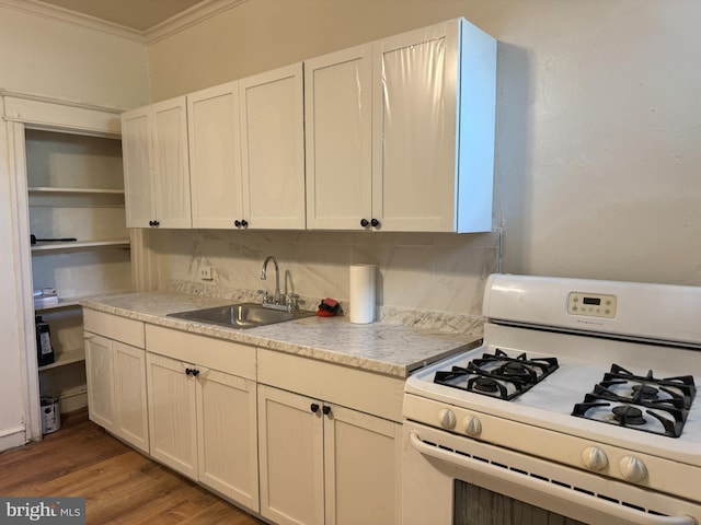 kitchen featuring hardwood / wood-style flooring, tasteful backsplash, sink, white gas range, and crown molding