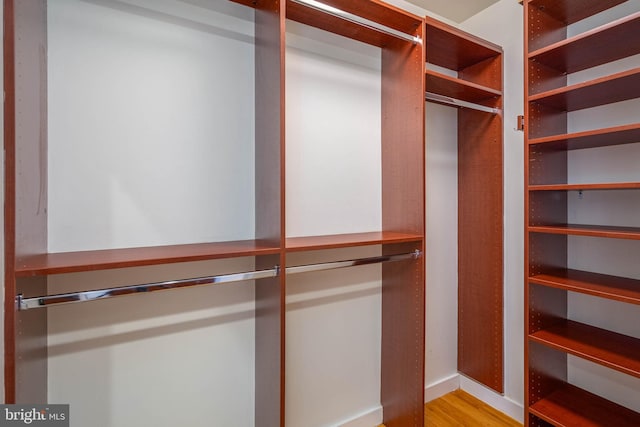 spacious closet featuring light hardwood / wood-style floors