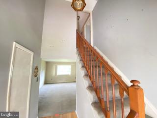 staircase featuring a towering ceiling