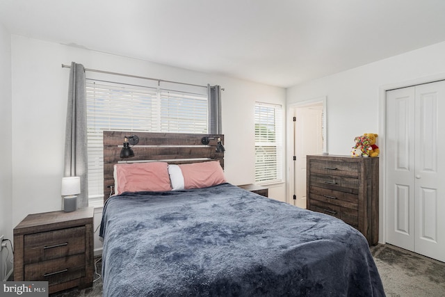 bedroom featuring carpet floors