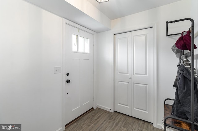 entryway featuring wood-type flooring