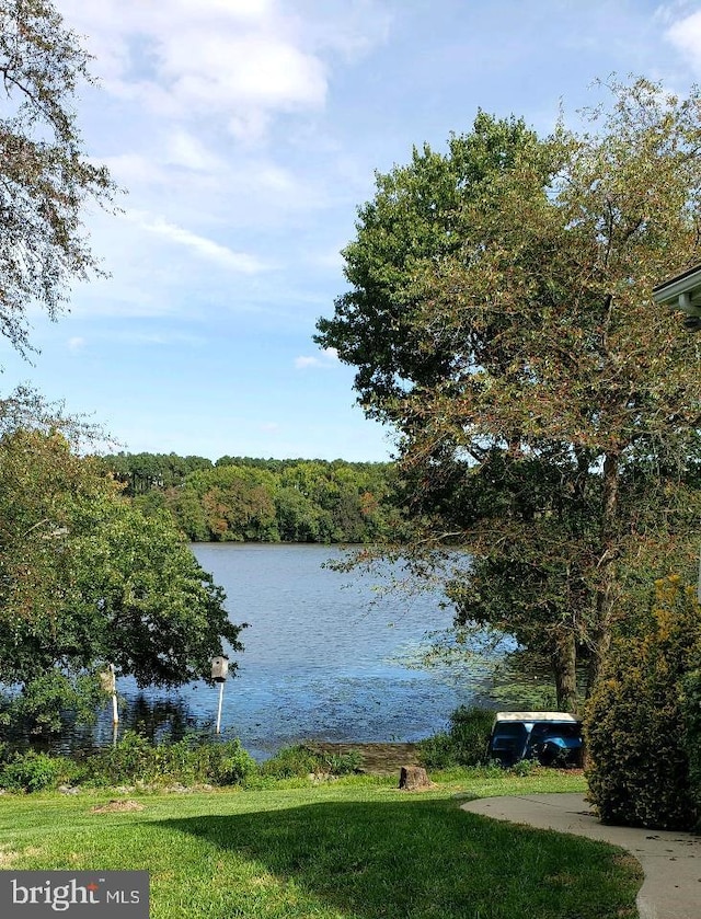 property view of water