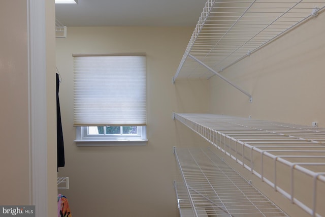 view of walk in closet