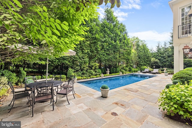 view of pool featuring a patio