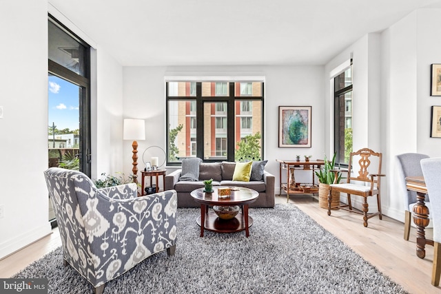 sitting room with plenty of natural light and hardwood / wood-style floors