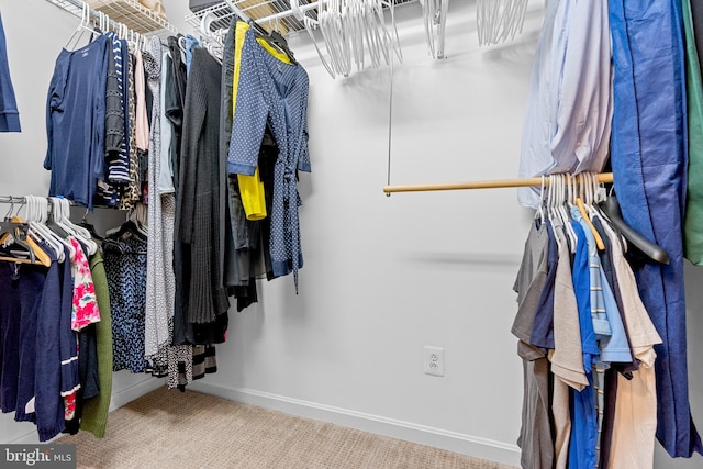 spacious closet with carpet