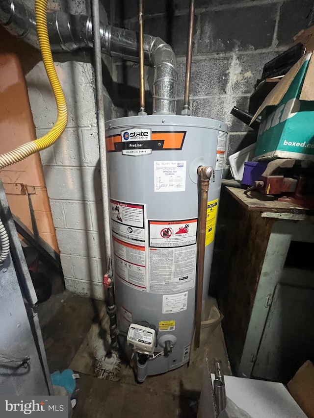 utility room with gas water heater