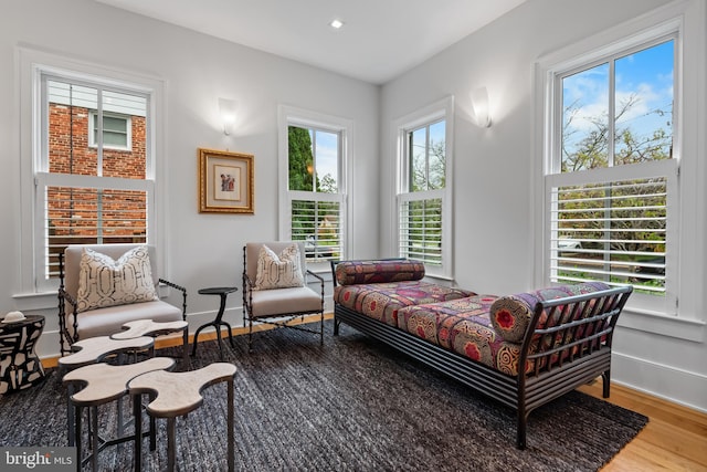 living room with hardwood / wood-style floors and a healthy amount of sunlight