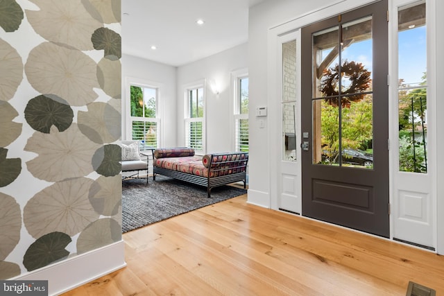 foyer featuring hardwood / wood-style floors and a healthy amount of sunlight