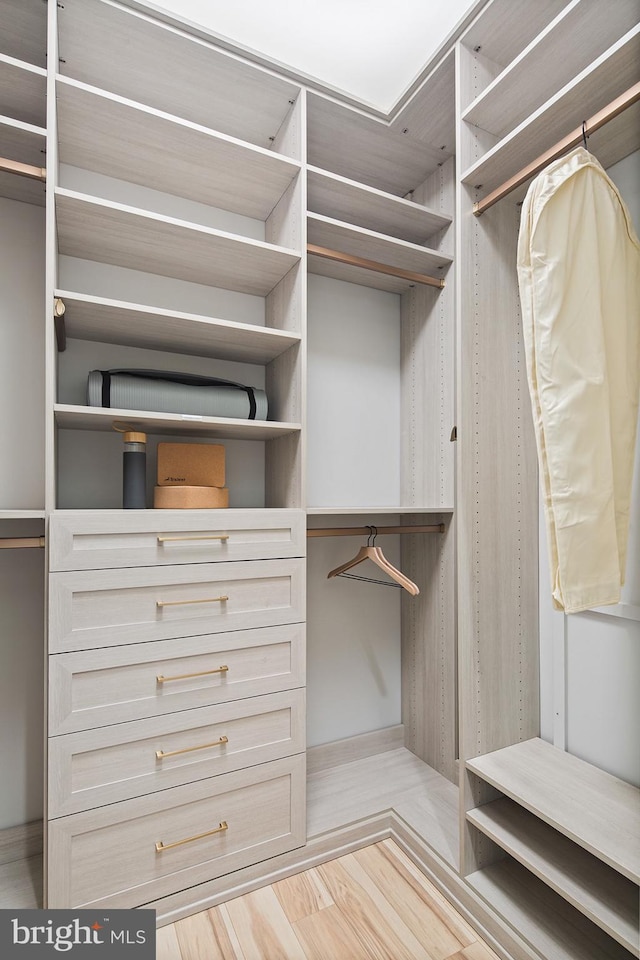 view of walk in closet