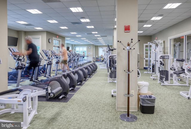 workout area with carpet flooring and a drop ceiling