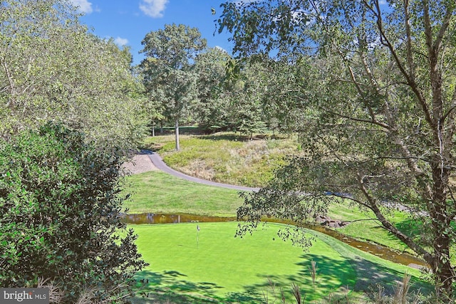 view of property's community featuring a lawn and a water view