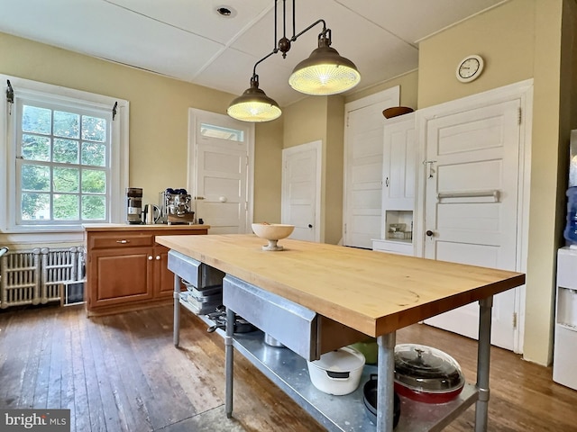 kitchen featuring hanging light fixtures, wood counters, and dark wood-type flooring