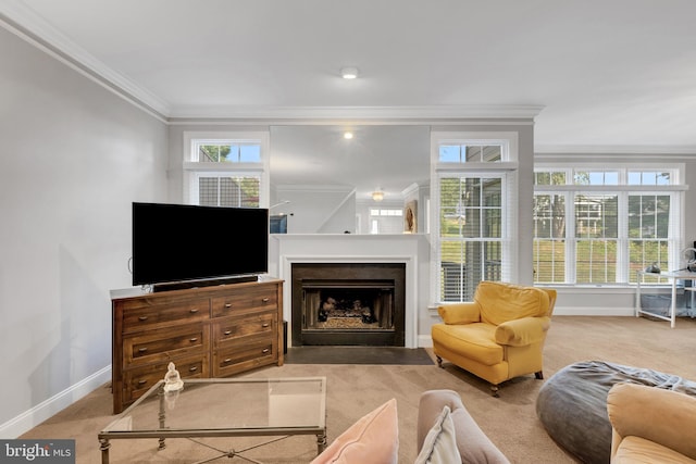 living room featuring ornamental molding and light carpet