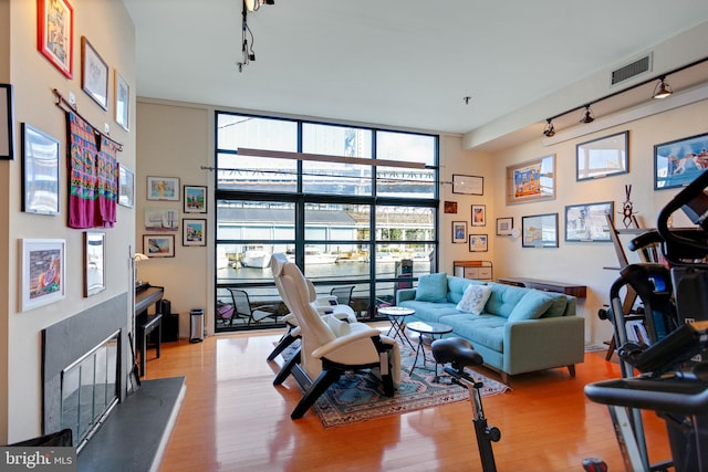 living room with light hardwood / wood-style floors and expansive windows