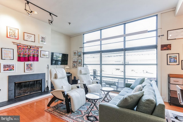 living room featuring hardwood / wood-style floors and a healthy amount of sunlight